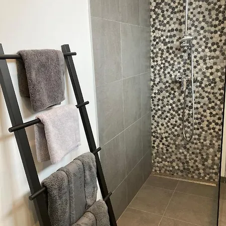 Les Duplex De La Place Des Ecoles ספא
