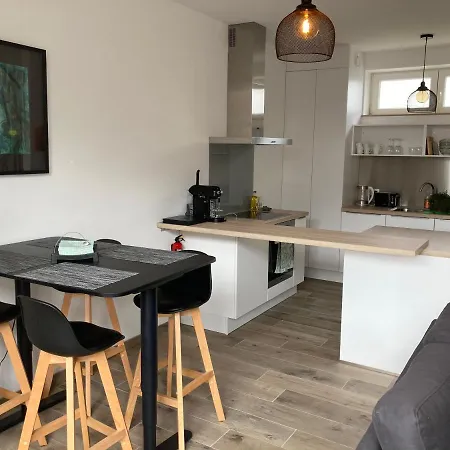 Les Duplex De La Place Des Ecoles ספא