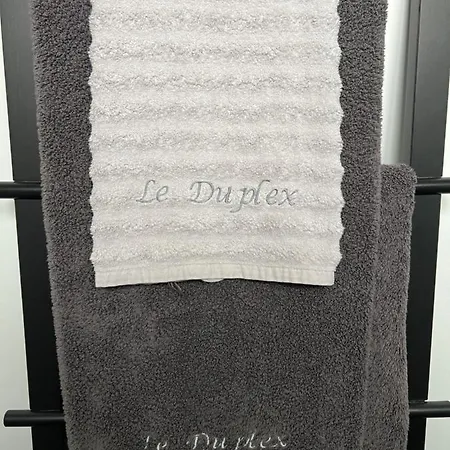 Daire Les Duplex De La Place Des Ecoles Spa