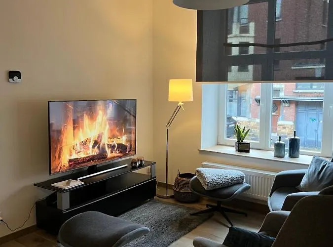 Les Duplex De La Place Des Ecoles アパート *